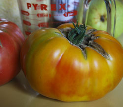 Tomatoes 250w